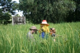 Planting the scarecrow in the rice paddy at White Water Lake