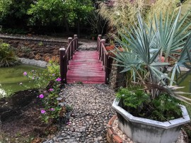 The gardens at Faasai