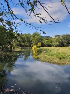 The lake in early morning