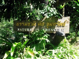 Nature is treasure - the sign at the waterfall