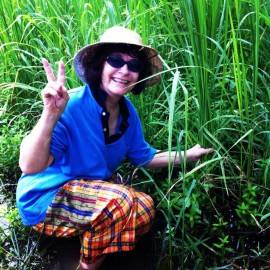 Checking out the rice crop